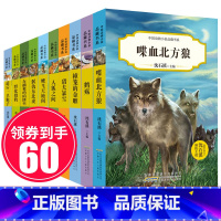 [正版]沈石溪动物小说全集全套10册 后一只狍子狼王梦 适合小学生课外阅读书籍三四年级五六年级阅读经典书目儿童故事书8一