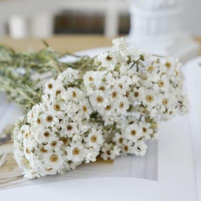 黛西干花装饰摆设件品真花束客厅花瓶风干小清新文艺diy材料包