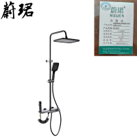 蔚珺牌高端全铜按键枪灰淋浴花洒WJ-8670个