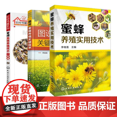 共3册 养蜂指南书籍 蜜蜂高效养殖技术一本通 实用技术 关键技术 蜜蜂养殖技术大全书籍 科学饲养蜜蜂教程蜜蜂繁殖 蜂病技