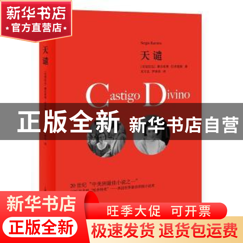 正版 天谴 塞尔希奥·拉米雷斯 著,刘习良 笋季英译 者 上海译文