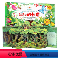 [正版]好好玩神奇生命立体书第二辑 远行的刺猬 儿童3d立体书翻翻书洞洞书籍0-2-3周岁幼儿绘本5-6岁读物 益智启