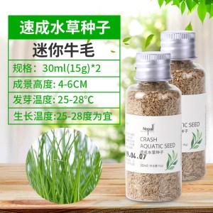 水草籽鱼缸种子牛毛对叶真水草种籽草坪草籽造景植物底砂套餐