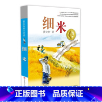 细米 [正版]草房子曹文轩 三四五六年级小学生课外阅读书籍碧迪老师班主任 7-9-10-12岁校园少儿文学纯美小说系列初