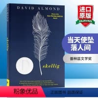 [正版]当天使坠落人间 英文原版小说 Skellig 普林兹文学奖 英文版青少年英语课外阅读 David Almond