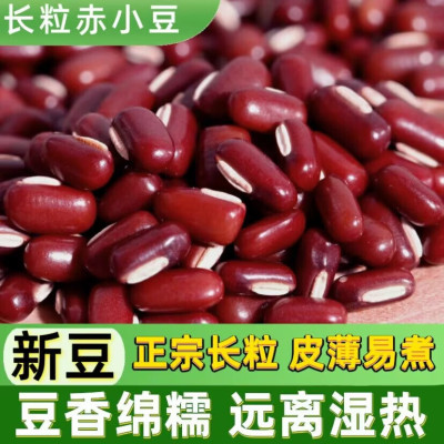 中锐智采 红豆 赤小豆五谷杂粮 赤小豆1斤装 散装