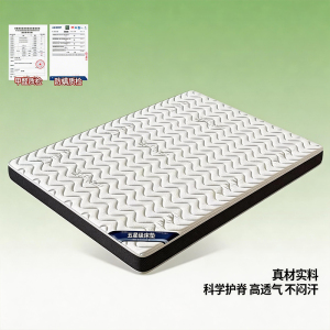 喜霸棕垫XC003