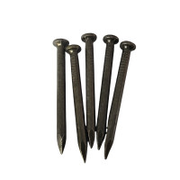 vzi 特种高强度钢钉 100mm特种地板钢钉(500g) 包