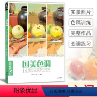 [正版]经典全集 国美色调色彩静物色稿训练临摹书水粉写生对画照片花质感零基础入门自学艺高考联考中国美院教程材书籍 杨建