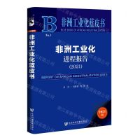 [N]非洲工业化进程报告(2021)/非洲工业化蓝皮书-9787520193221