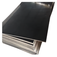 满盛达建 建筑模板 1220*2440*20mm 张