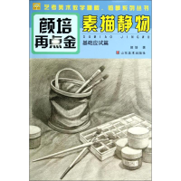 音像素描静物颜培