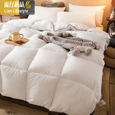 冬天加厚保暖双人新疆棉花10斤冬被子丝棉被褥棉春秋太空调被芯 三维工匠