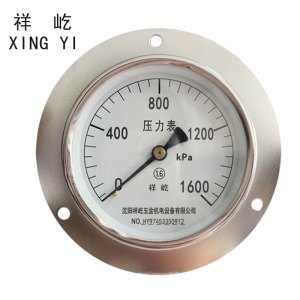 祥屹 压力表轴向带边检测定制型 Y100ZT 块
