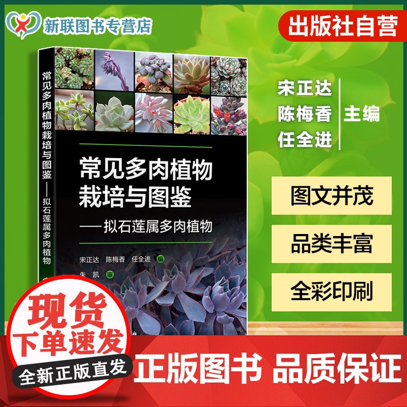 常见多肉植物栽培与图鉴 拟石莲属多肉植物 拟石莲花属品种大全 多肉植物养护指南 繁殖方法与病虫害防治 多肉爱好者新手入门