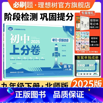 数学 北师版 九年级下 [正版]理想树2025版初中上分卷必刷题九年级下册数学北师版初中同步试卷期中期末检测单元检测同步