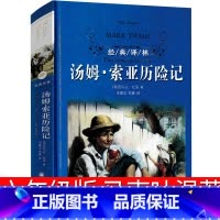 汤姆索亚历险记 [正版]译林出版社 爱丽丝漫游奇境六年级下册快乐读书吧 爱丽丝漫游仙境 人民教育文学 刘易斯·卡罗尔著原