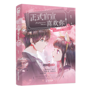 正版新书]正式官宣喜欢你鹿尧 著9787557026073