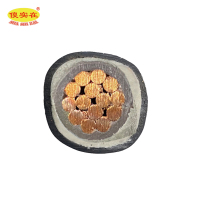傻实在 电缆 国标全项保检 DCEYH 1*240mm²(750V) 米