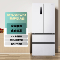 容声IDP净味503pro法式多门四开门超薄零嵌入式电冰箱家用一级节能效无霜 BCD-503WD15MPQLA白