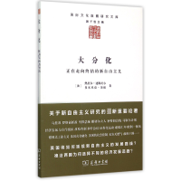 音像大分化(正在走向终结的新自由主义)/国际文化版图研究文库