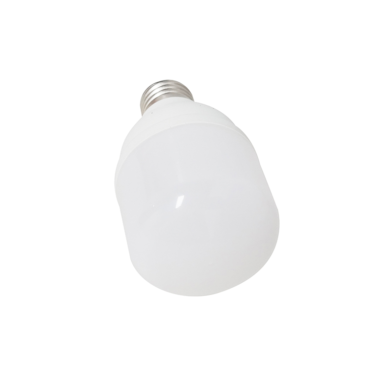 LED灯泡 10W 个