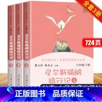 [全套3册]尼尔斯骑鹅旅行记(上+中+下) [正版]尼尔斯骑鹅旅行记原著六年级下册人民教育出版社威尼斯厄尔斯尼尔森威尔斯