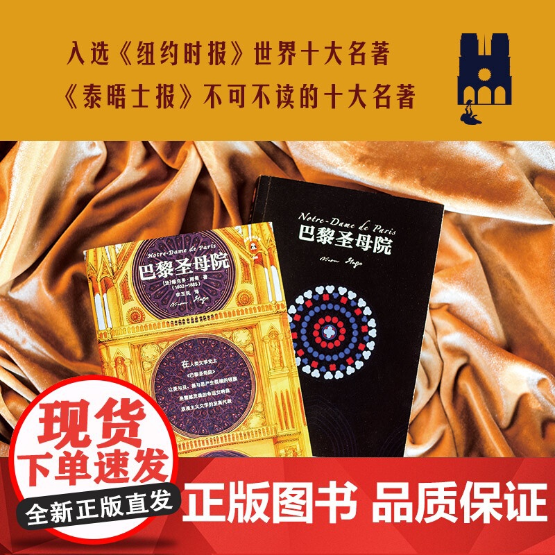 巴黎圣母院 维克多·雨果 著 小说