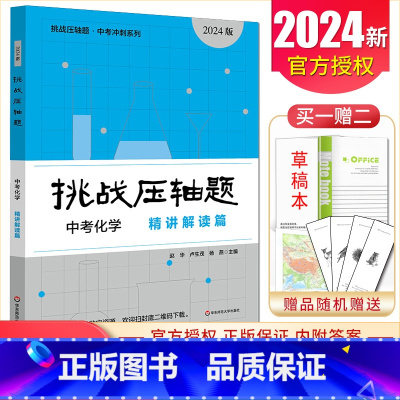 中考化学精讲解读篇 初中通用 [正版]2025挑战压轴题中考数学物理化学七年级八年级九年级轻松入门篇精讲解读篇强化训练篇