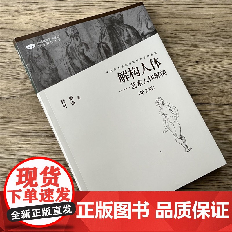 解构人体艺术人体解剖第二版艺用人体结构教学人物素描速写绘画临摹备战中央美术学院入门基础教学试用教材书籍