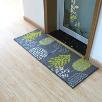进地垫可水洗防滑入户地毯防尘耐脏易清洗玄关垫清新现代古典