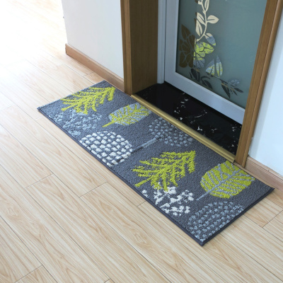 进地垫可水洗防滑入户地毯防尘耐脏易清洗玄关垫清新现代古典