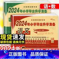 小学毕业升学卷·语数-2本套 小学通用 [正版]2024小升初知识大集结小学语文数学英语升学夺冠基础重点知识大全通用版人