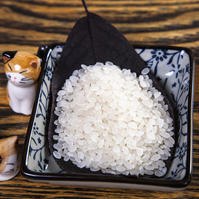 盘府越光米东北盘锦蟹田大米2.5kg真空出口日本寿司米新米5斤