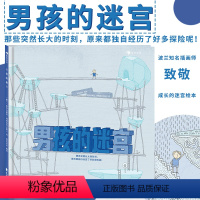 [正版]浪花朵朵童书 男孩的迷宫 无字书大奖入围奖 博洛尼亚童书展无字书 益智游戏绘本书籍 后浪