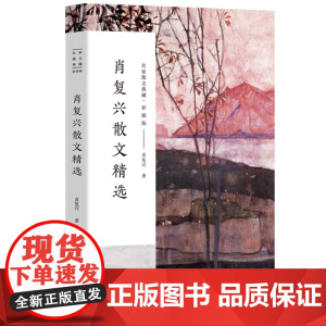 肖复兴散文精选正版散文集名家散文典藏收录那片绿绿的爬山虎手绘插图现当代文学散文精选集名家作品长江文艺出版社