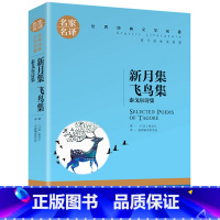 新月集飞鸟集 [正版]5本25元傲慢与偏见原着原版 初中高中小学生课外阅读书籍小说 青少年名著书籍 成人阅读名著书籍名家