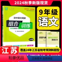 语文 九年级/初中三年级 [正版]2024新版通城学典初中语文阅读组合训练 9年级九年级全一册江苏专版语文古诗文文言文现