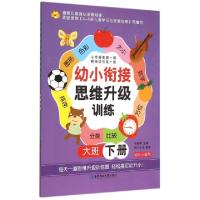 正版新书]幼小衔接思维升级训练(大班下幼升小适用)张耀明978756