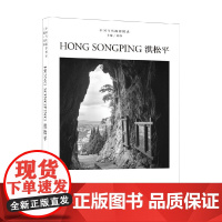 中国当代摄影图录 洪松平 刘铮 编著 摄影