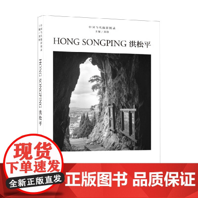 中国当代摄影图录 洪松平 刘铮 编著 摄影