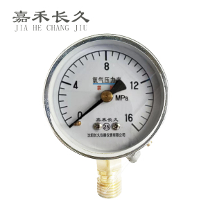 嘉禾长久+氧气压力表检测定制型+YO60+块