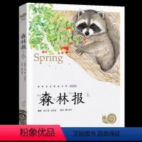森林报春 [正版]兔子坡注音版蜗牛小书坊有声读物一年级二年级三年级人教课外必读书籍儿童小学生阅读图书图画绘本破故事绘会汇