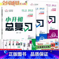 小升初[语数英]总复习(送全真卷) 小学升初中 [正版]2024培优小升初总复习语文数学英语全套精讲精练小学六6年级小升