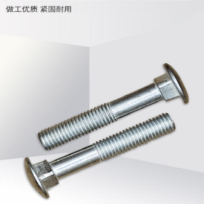 时友 TIME FRIEND 半圆头方颈螺栓 10*65 个