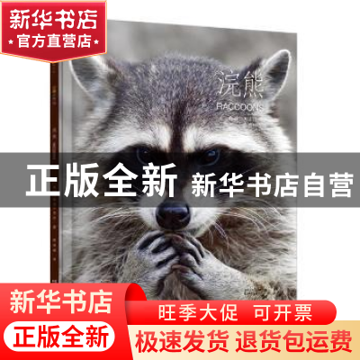 正版 浣熊 (美)梅利莎·吉什著 浙江文艺出版社 9787533939960 书