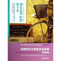 音像就在普罗旺斯停下来杨和平 摄;区念中,吴林柯