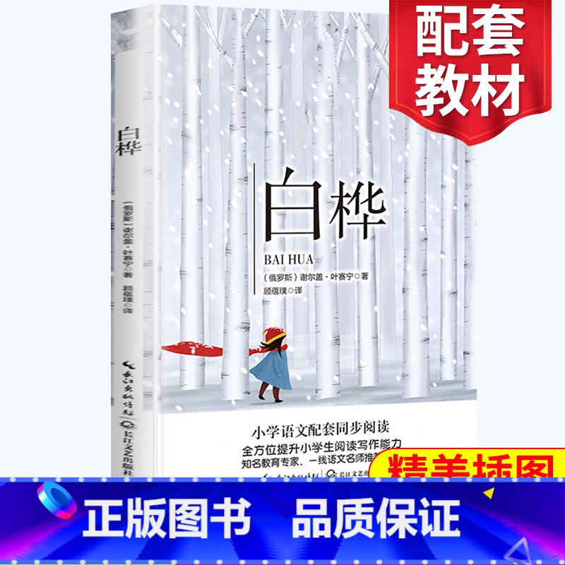 [正版]白桦 四年级阅读小学语文同步阅读 名师经典文学名作 课外拓展阅读 阅读写作能力提升 长江文艺出版社