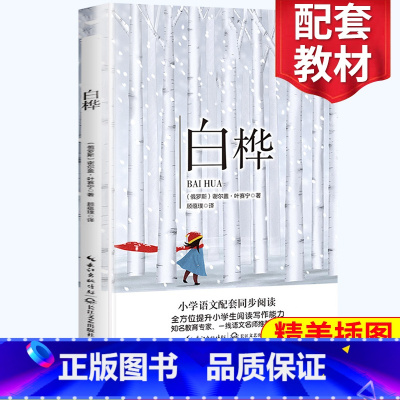 [正版]白桦 四年级阅读小学语文同步阅读 名师经典文学名作 课外拓展阅读 阅读写作能力提升 长江文艺出版社