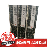 共3册 颜真卿勤礼碑 名家碑帖近距离临摹卡 对照原贴楷书书法入门书籍初学者碑帖临摹书法 楷书毛笔字帖 附原帖简体旁注 距